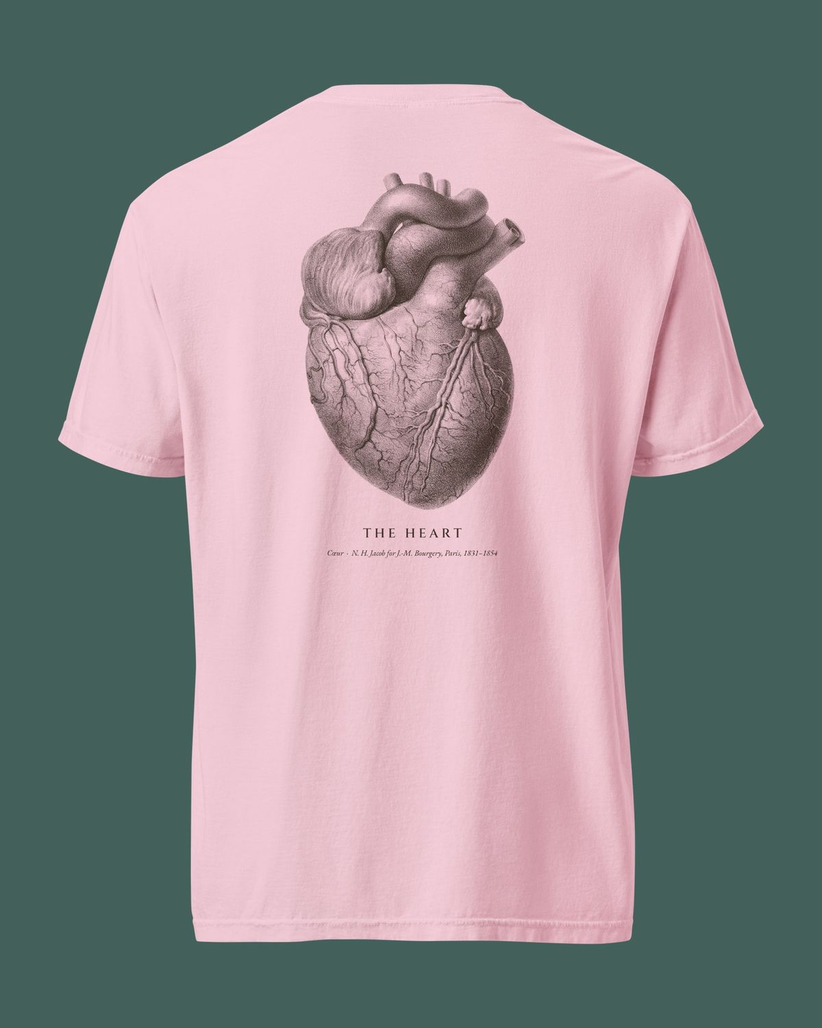 Cardiology