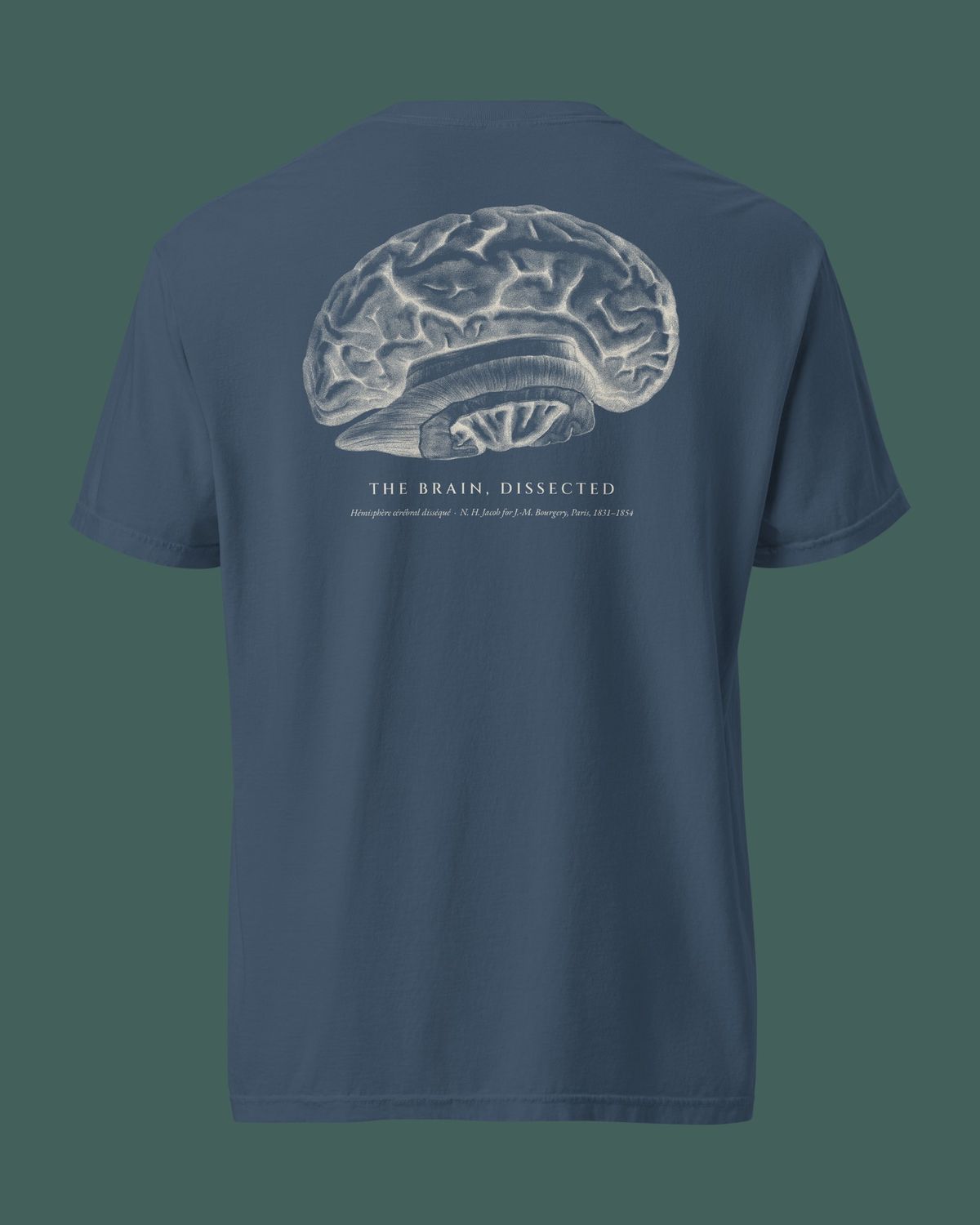 Gifts for Medical Students