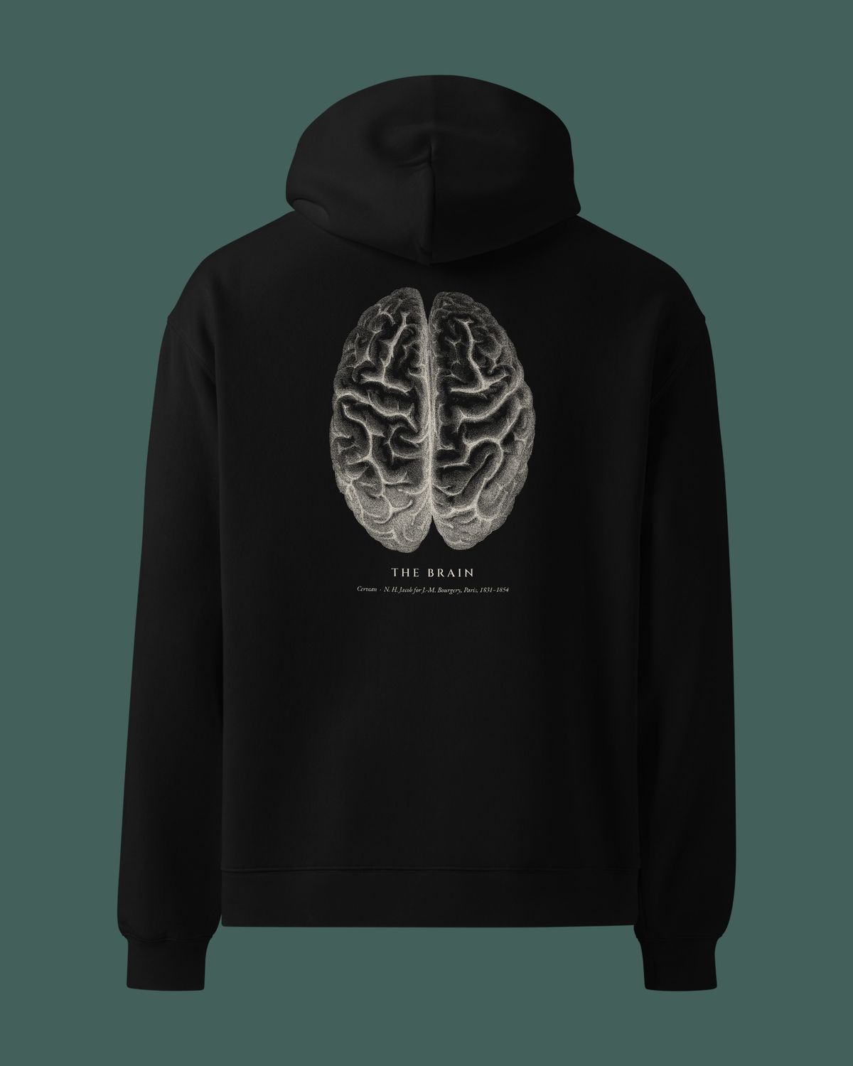 Neurology