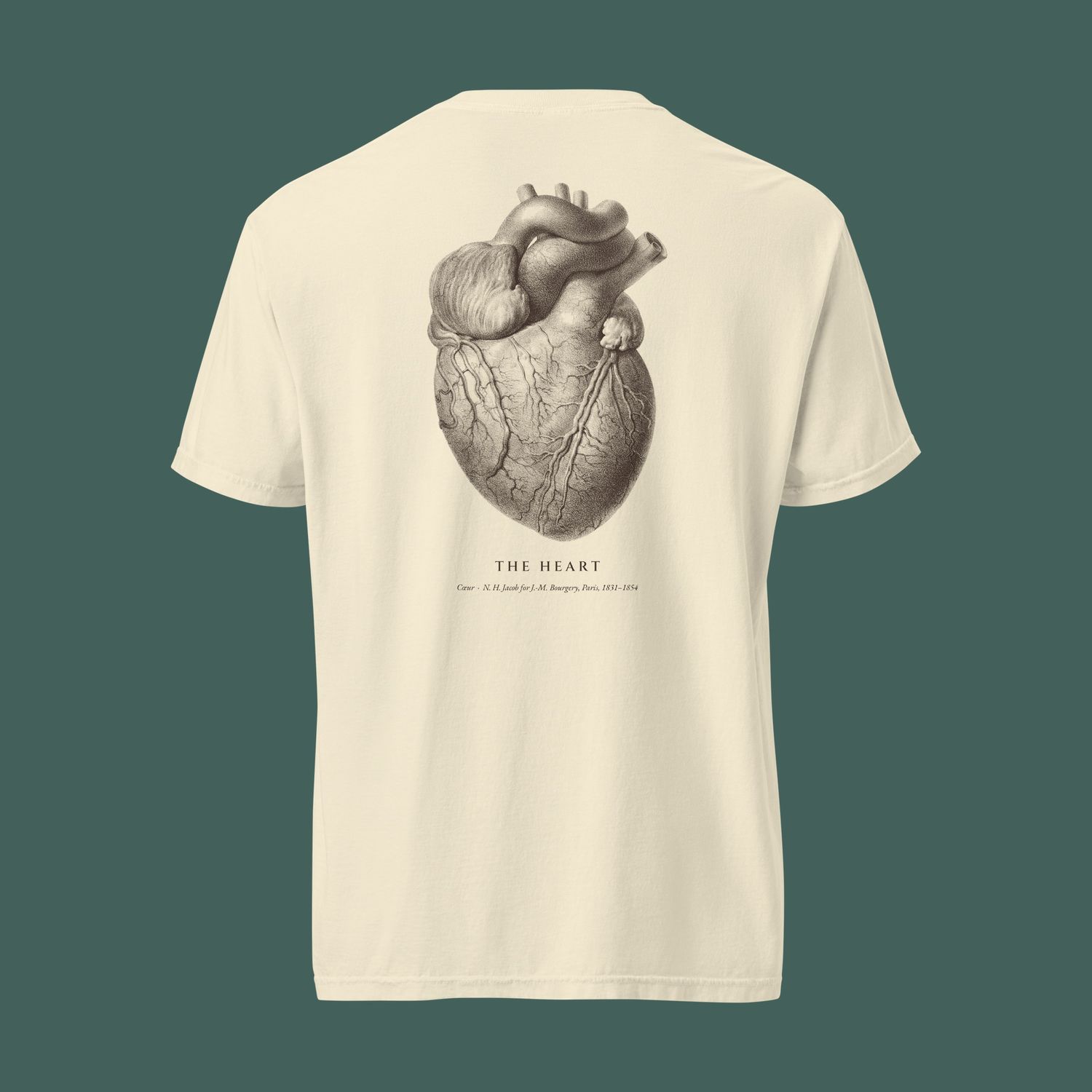 The Heart Heavyweight Tee in Ivory, from the back, on surgical green.